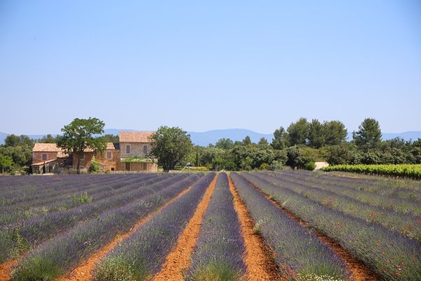 Quelles sont les meilleures destinations pour des vacances touristiques en Nouvelle-Aquitaine ?