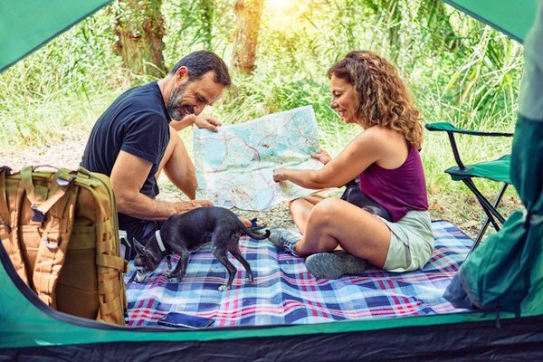 Découvrez ce que les vacanciers pensent du camping l'Océan à Brem sur Mer : Avis et témoignages