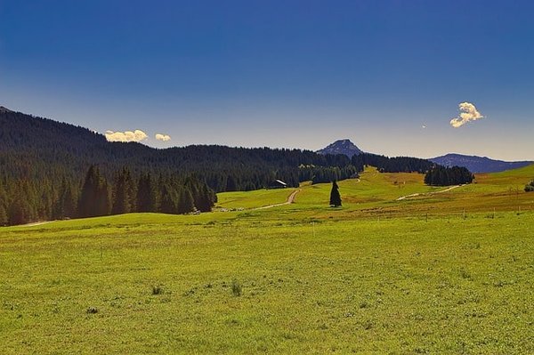Les secrets pour une expérience inoubliable de camping en Beaujolais