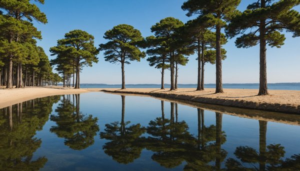 Pourquoi choisir le bassin d'arcachon pour des vacances nature ?