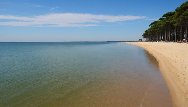 10 raisons de passer des vacances nature au bassin d'arcachon